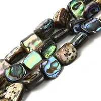 Natural Abalone Shell/Paua Shell Beads Strands
