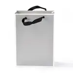 Rectangle Paper Bags