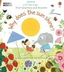 Why Does the Sun Shine? - Christine Pym (ilustrátor), Katie Daynes - kniha z kategorie Naučné knihy