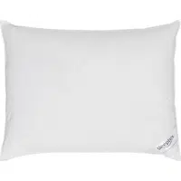 Sleeptex TŘÍKOMOROVÝ POLŠTÁŘ, 40/60 cm