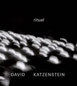 David Katzenstein