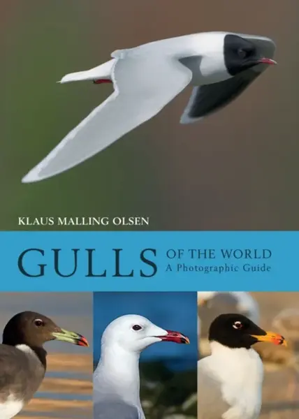 Gulls of the World - Klaus Malling Olsen