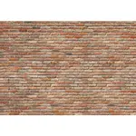 FOTOTAPETA velikost: 368/254 cm