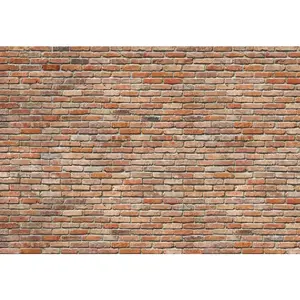 FOTOTAPETA velikost: 368/254 cm