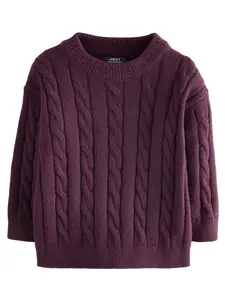Next Sveter  baklažánová