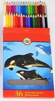 Pastelky školní 36ks 3555 Kosatka