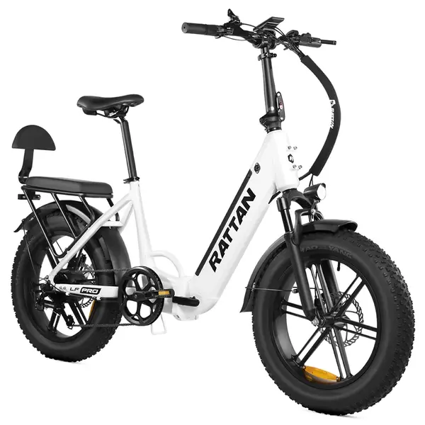 RATTAN LF Pro Electric Bike 750W 48V 18Ah