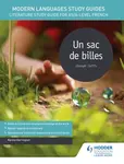 Modern Languages Study Guides: Un sac de billes - Karine Harrington