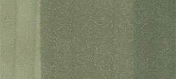 Copic sketch marker - BG93 green gray