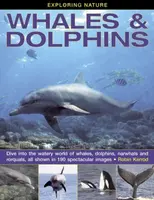 Exploring Nature: Whales & Dolphins - Robin Kerrod