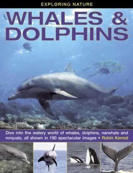 Exploring Nature: Whales & Dolphins - Robin Kerrod