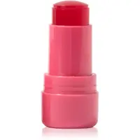 Technic Cosmetics Jelly Tint tvářenka v tyčince na rty a tváře odstín Red Hot 9 g