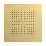 Hansgrohe Raindance E - Hlavová sprcha, 40x40 cm, leštený vzhľad zlata 26252990