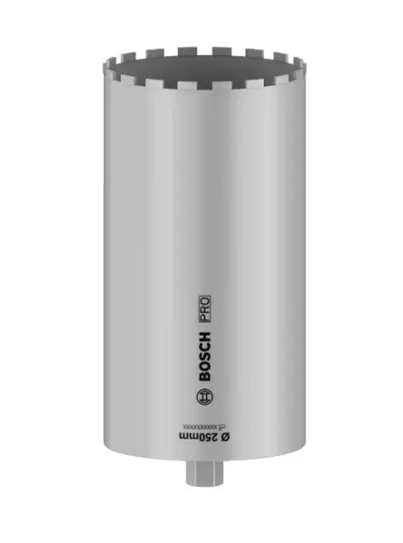 Bosch Príslušenstvo - Diamantová vŕtacia korunka, priemer 250 mm 2608601801