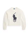 Polo Ralph Lauren Sveter  námornícka modrá / biela