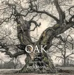 Oak - Beth Moon