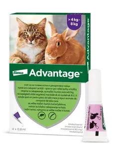ADVANTAGE Velké Kočky 80 mg + králíci Spot-on 4 x 0.8 ml