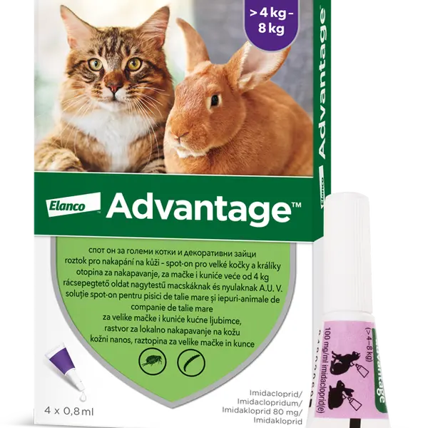 ADVANTAGE Velké Kočky 80 mg + králíci Spot-on 4 x 0.8 ml