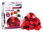 MIXIT Křupavé ovoce lesní mix 20 g