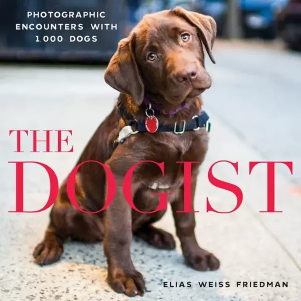 The Dogist - Elias Weiss Friedman
