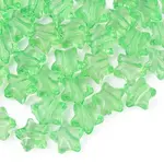Transparent Acrylic Beads