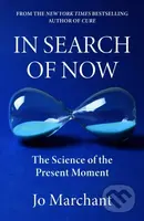 In Search of Now (The Science and Mystery of the Present Moment) - kniha z kategorie Přírodní vědy a technika