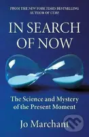 In Search of Now - -