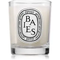 Diptyque Baies vonná svíčka 70 g
