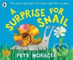 Surprise for Snail - -
