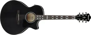 Ibanez AE170-TBK