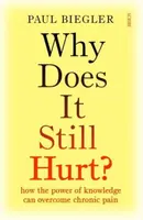 Why Does It Still Hurt? - Paul Biegler