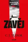 Závěj (poškozená) - C. J. Tudorová