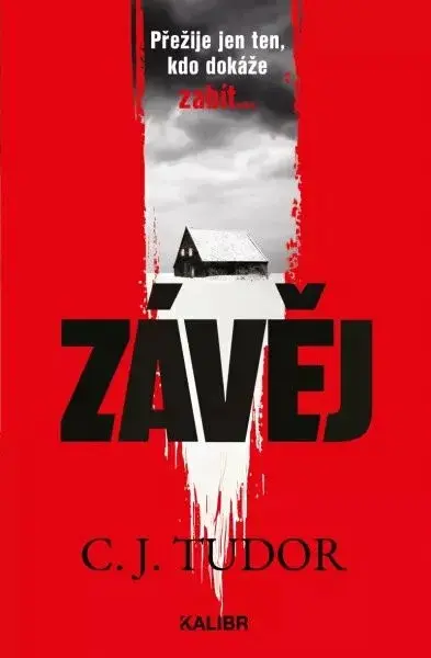 Závěj (poškozená) - C. J. Tudorová