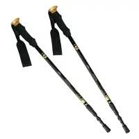 NILS Extreme NW-TK 19 nordic walking & trekingové hole