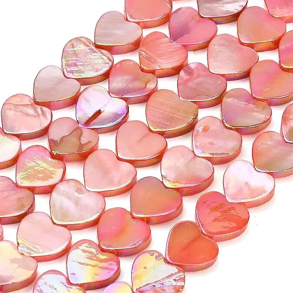 Natural Freshwater Shell Beads Strands