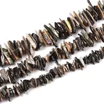 Natural Paua Shell Beads Strands