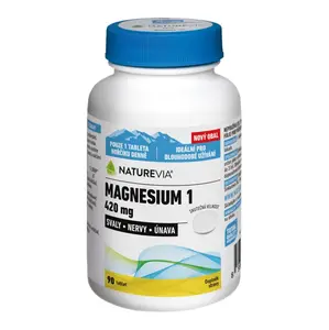 NATUREVIA Magnesium1  420 mg 90 tablet
