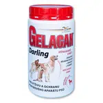 GELACAN Darling 500 g