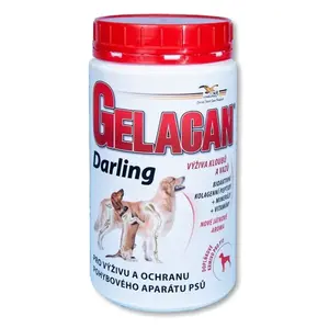 GELACAN Darling 500 g