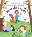 First Questions and Answers: How do I see? - Katie Daynes