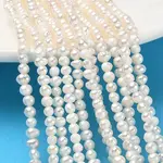 Natural Cultured Freshwater Pearl Beads Strands