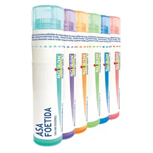 BOIRON Asa foetida 15CH 4 g