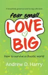 fearsmallLOVEBIG - Andrew D. Harry