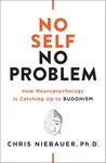 No Self, No Problem - Chris Niebauer