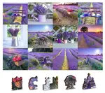 Dřevěné puzzle Levandulová Francie 2v1 (75 dílků)