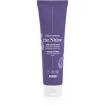 Anwen Here Comes The Shine Shining Primer For High Porosity Hair podkladová báze na vlasy 100 ml