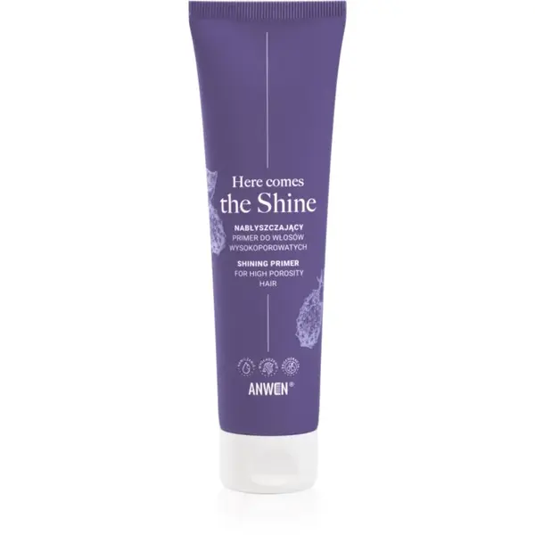 Anwen Here Comes The Shine Shining Primer For High Porosity Hair podkladová báze na vlasy 100 ml