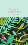 Journey to the River Sea - Eva Ibbotson