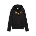 Puma ESS METALLIC Hoodie FL S