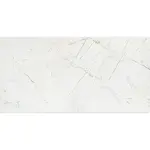 Rainforest White Gloss 59,8/119,8